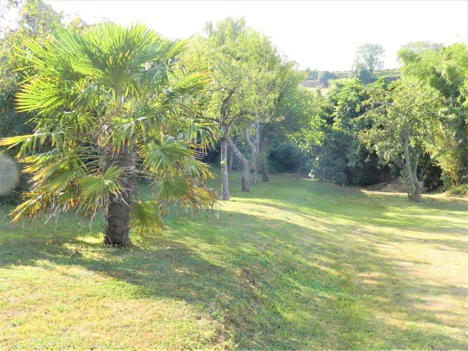 פורט-אן-בסאן-אופאן Maison Des Pommiers - Bord De Mer Et Campagne מראה חיצוני תמונה